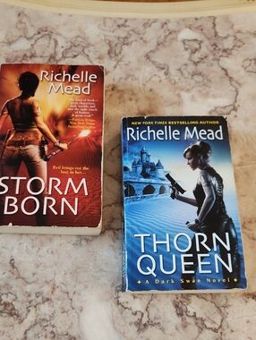 Richelle Mead fantasy book bundle